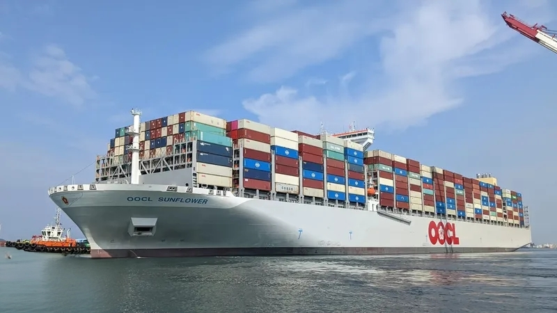 盐田港南沙港9710/9810监管加强：跨境电商出口事后核验与合规解析