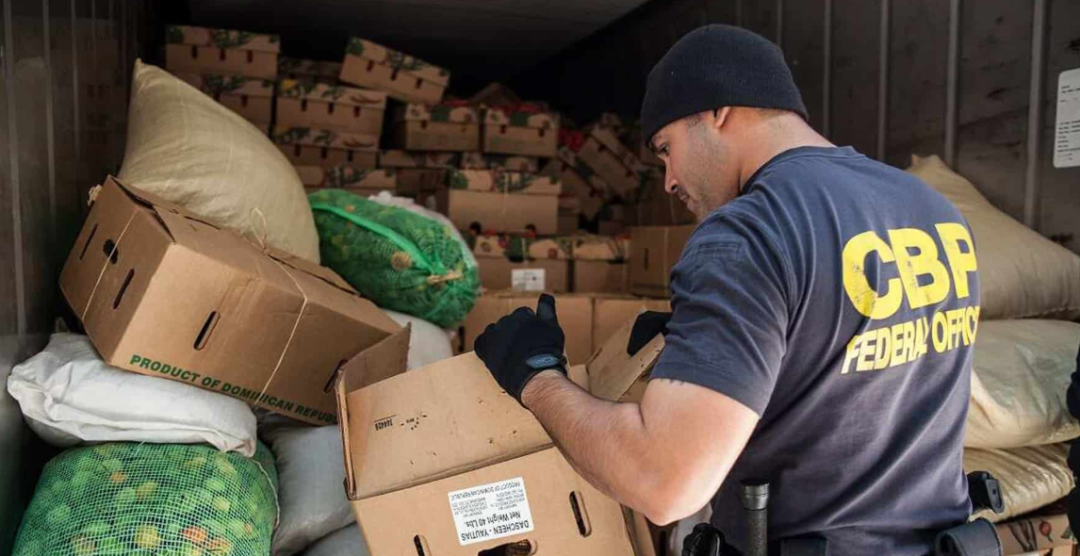 美国5H查验政策